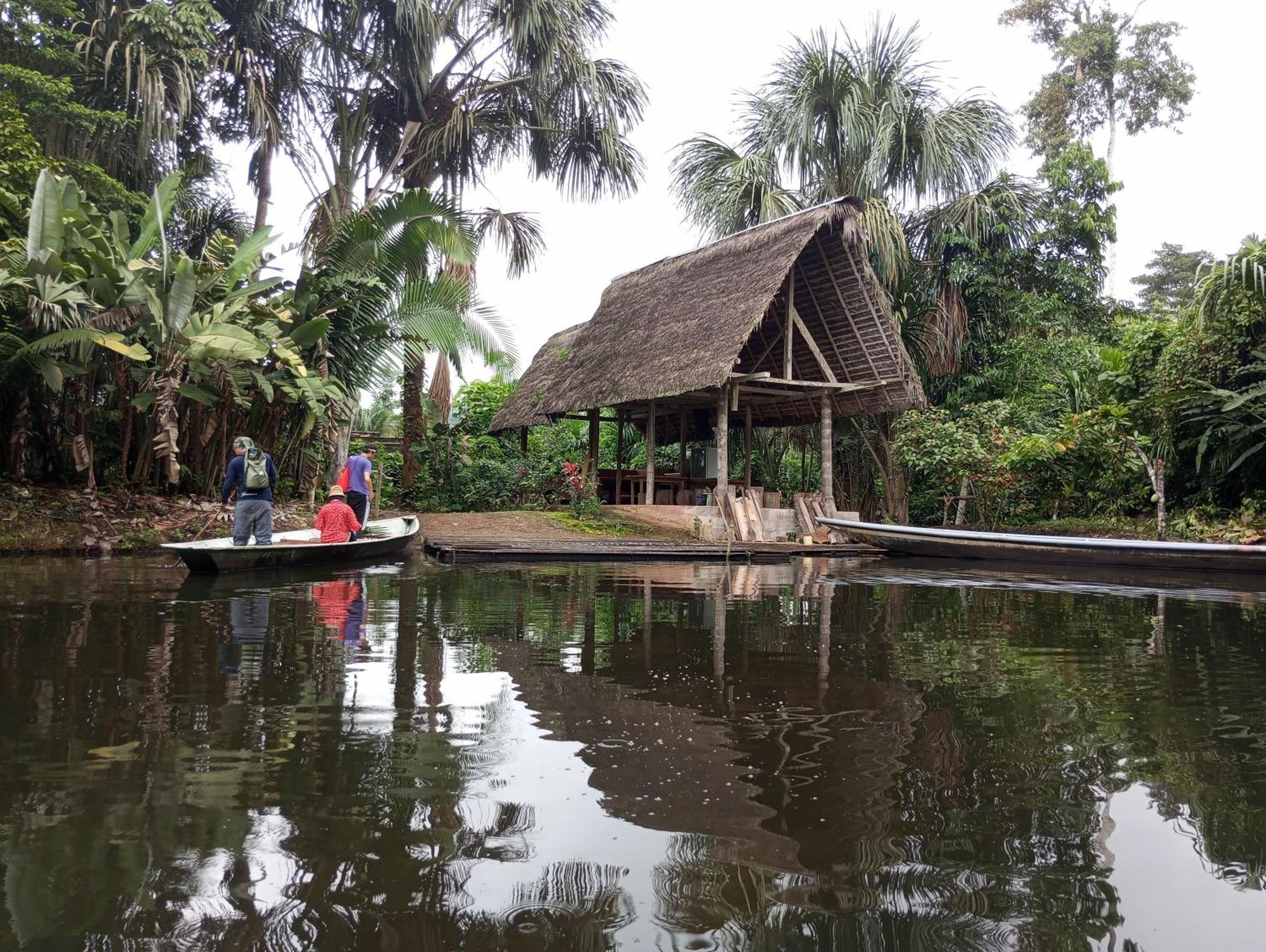 Misahualli Laguna Paikawe B&B Ngoại thất bức ảnh