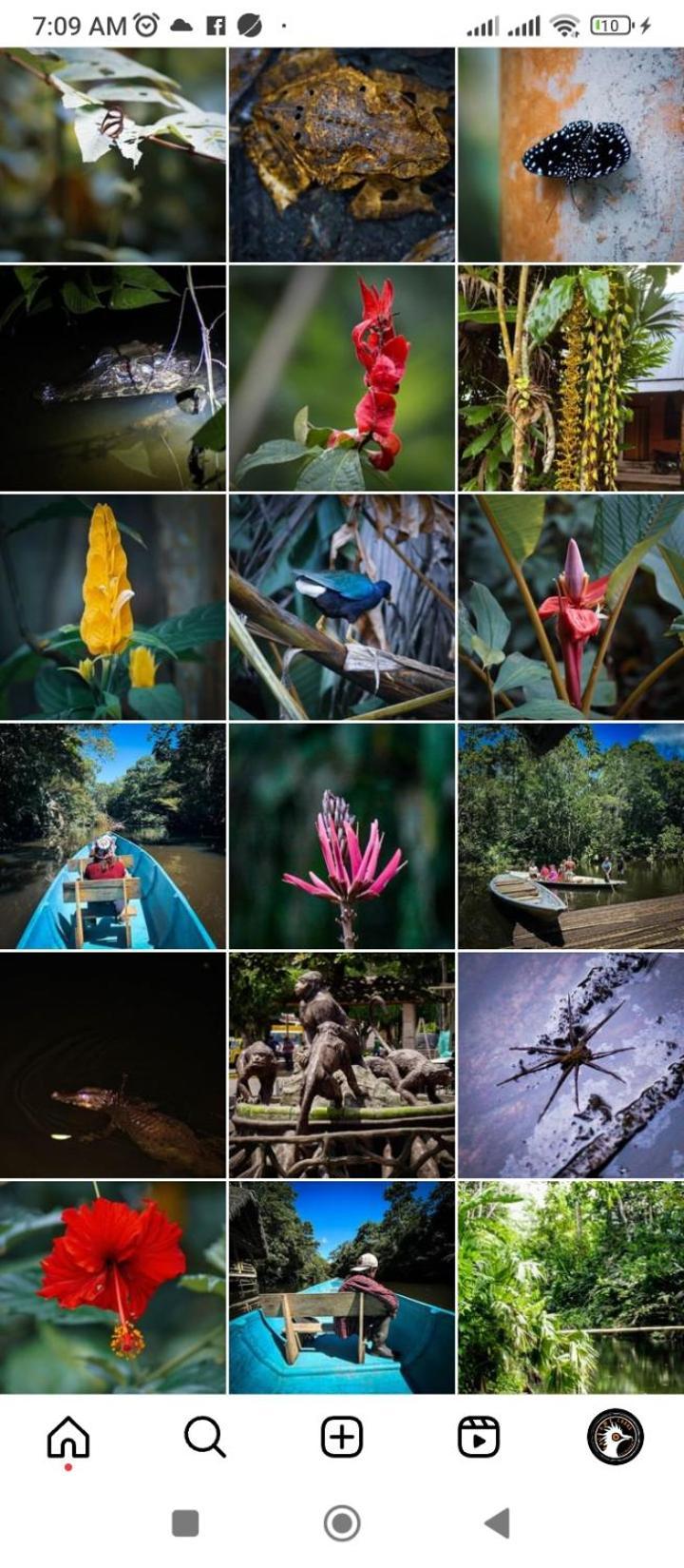 Misahualli Laguna Paikawe B&B Ngoại thất bức ảnh