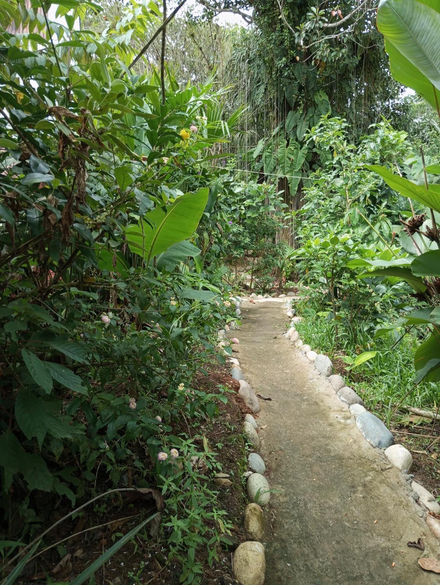 Misahualli Laguna Paikawe B&B Ngoại thất bức ảnh
