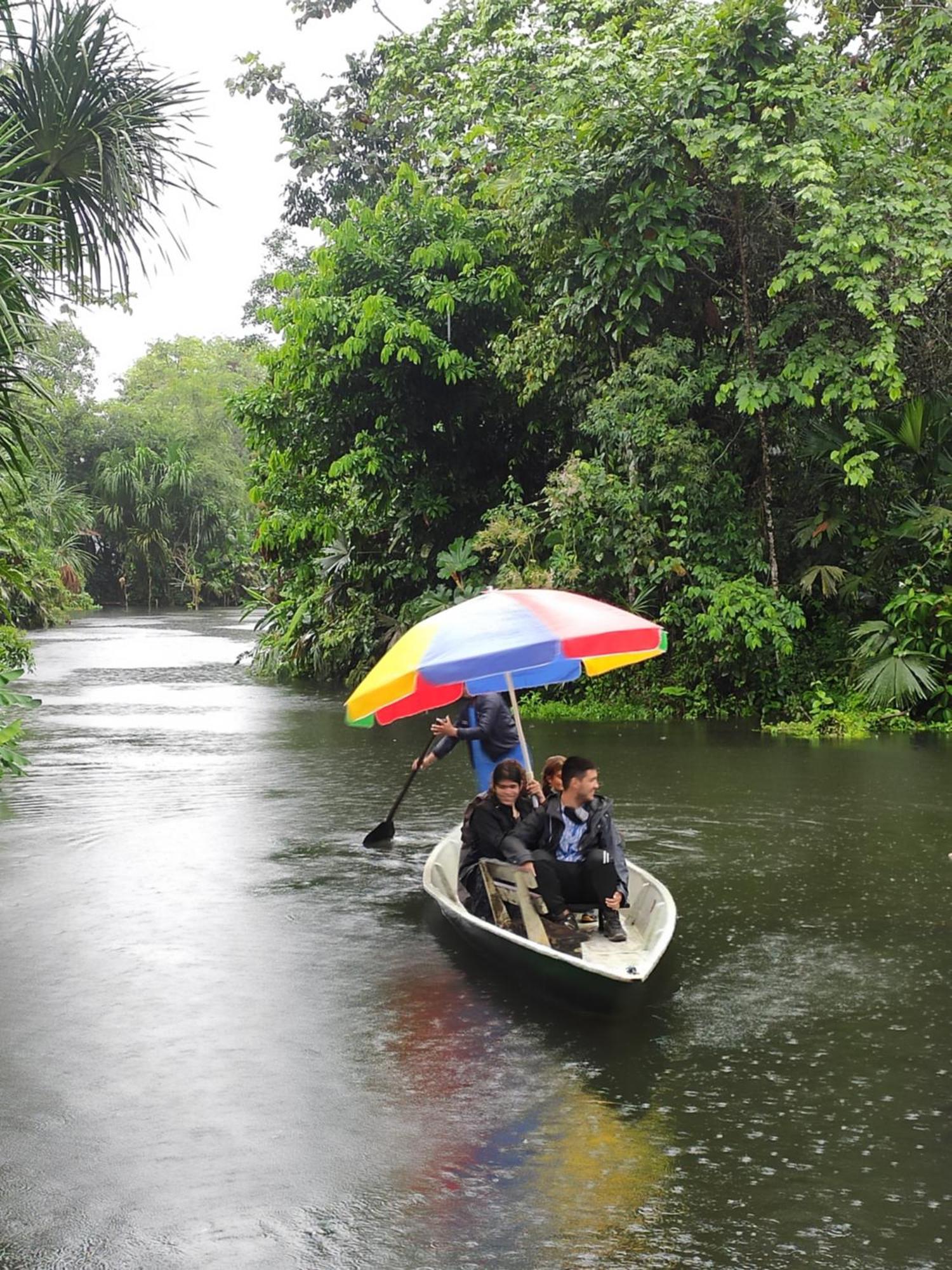 Misahualli Laguna Paikawe B&B Phòng bức ảnh
